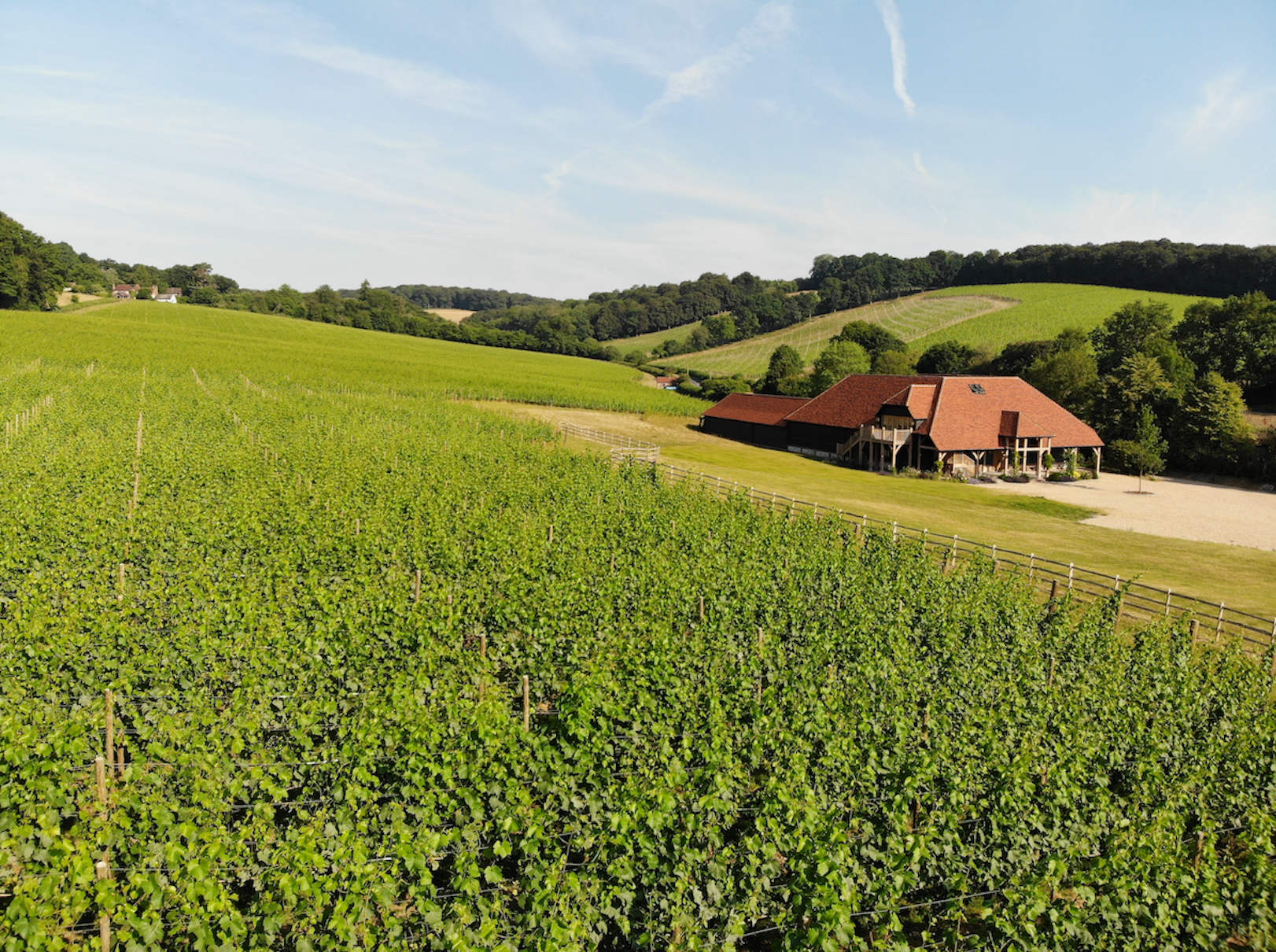 Hundred Hills Vineyard Tour and The Hind’s Head Experience